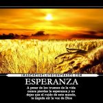 Hermosas Imágenes De Luto Cristianas Con Frases De Esperanza